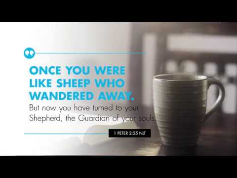 K-LOVE’s Verse of the Day: I Peter 2:25 – YouTube