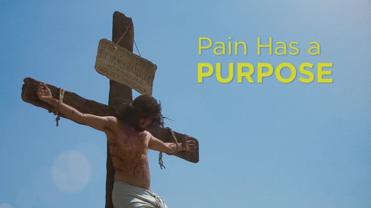 Pain Has a Purpose – YouTube