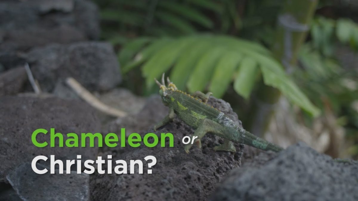 Chameleon or Christian? – YouTube