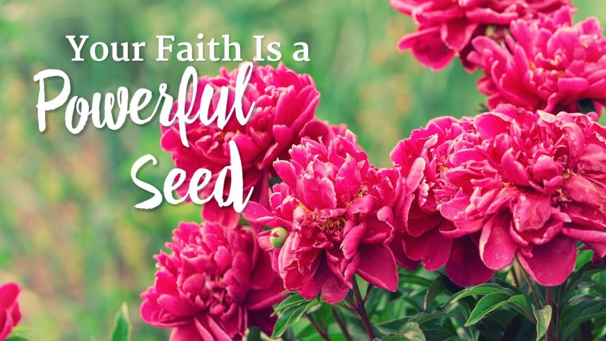 Your Faith Is a Powerful Seed – YouTube