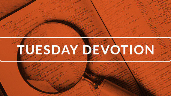 Confident Because of Peace – July 30, 2019 – WELS