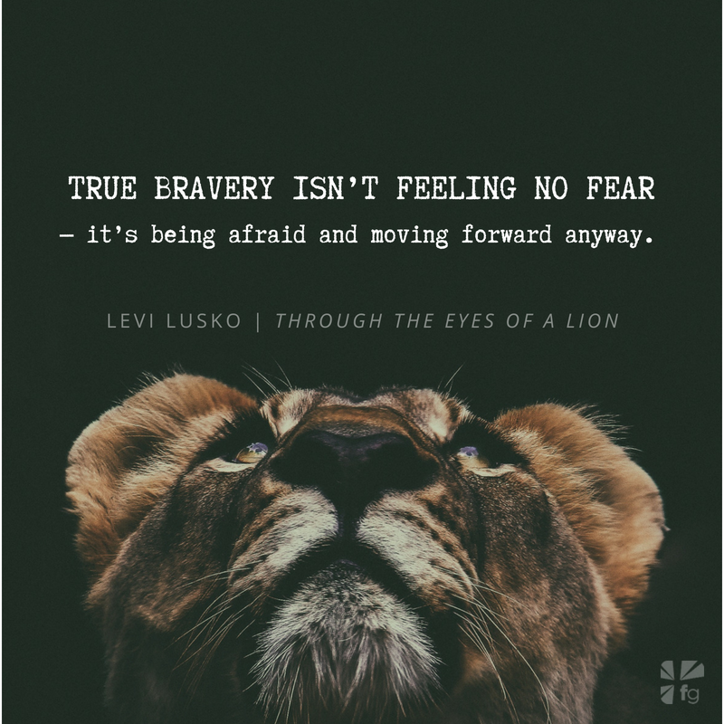 Run Toward the Fear: Run Toward the Roar – FaithGateway