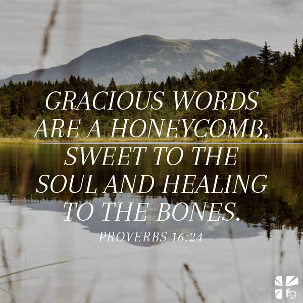 Choose Your Words Wisely | Book of Proverbs – FaithGateway