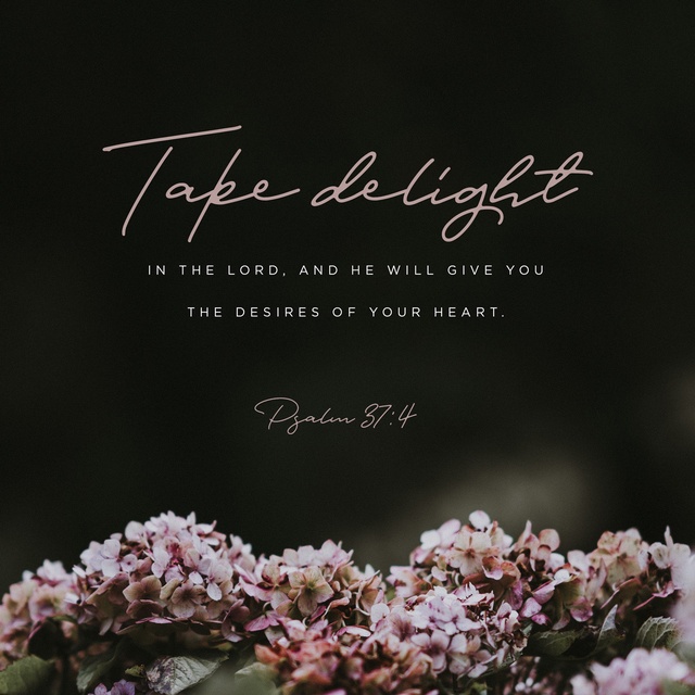 Youversion Verse of the Day – November 28, 2018