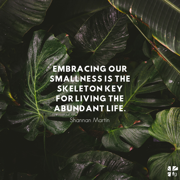 Live Small | Shannan Martin – FaithGateway