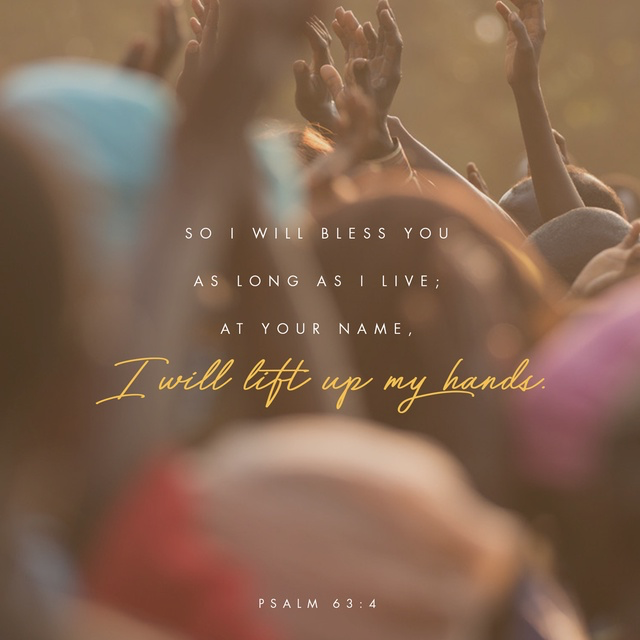 Youversion Verse of the Day – November 19, 2018