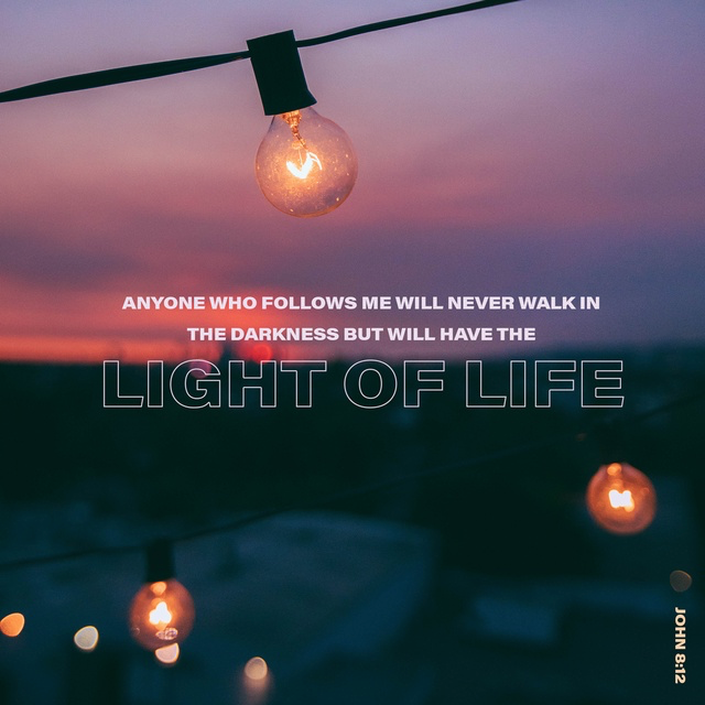 Youversion Verse of the Day – November 24, 2018
