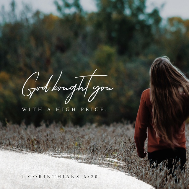 Youversion Verse of the Day – November 25, 2018