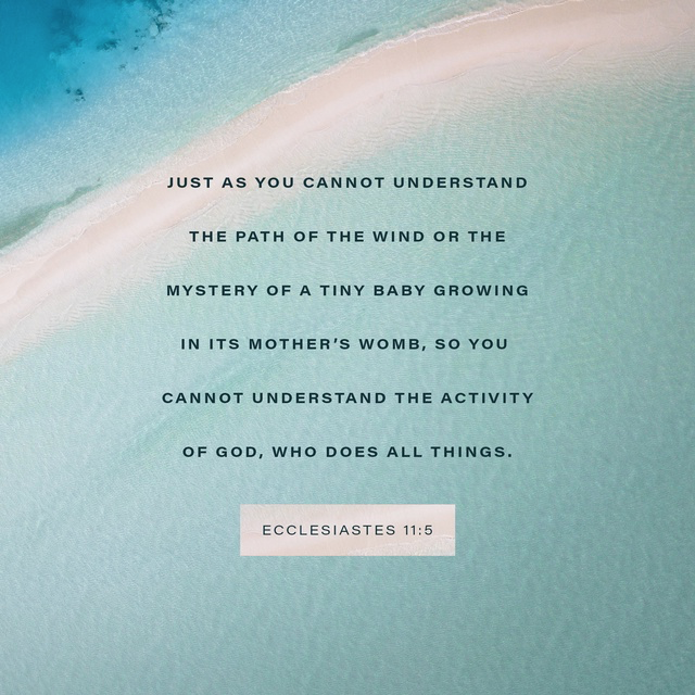 Youversion Verse of the Day – November 4, 2018