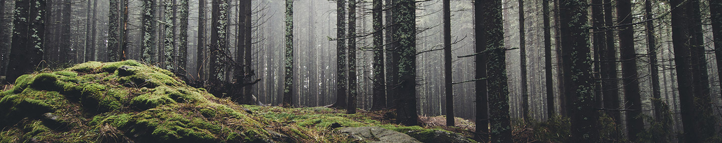 His Presence | Our Daily Bread
