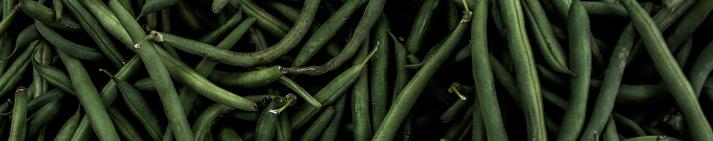 What We Have | Our Daily Bread
