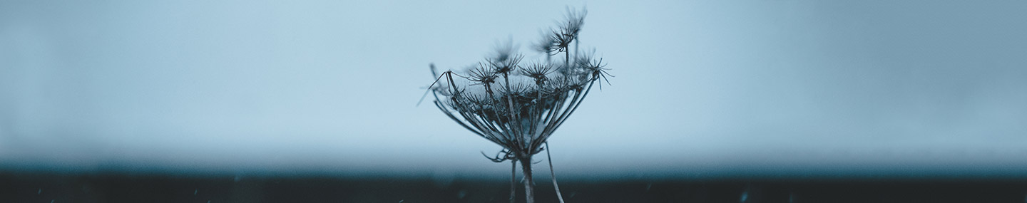 A Constant Helper | Our Daily Bread