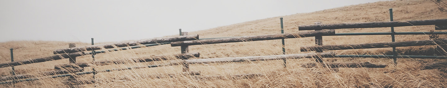 Putting Up Hay | Our Daily Bread