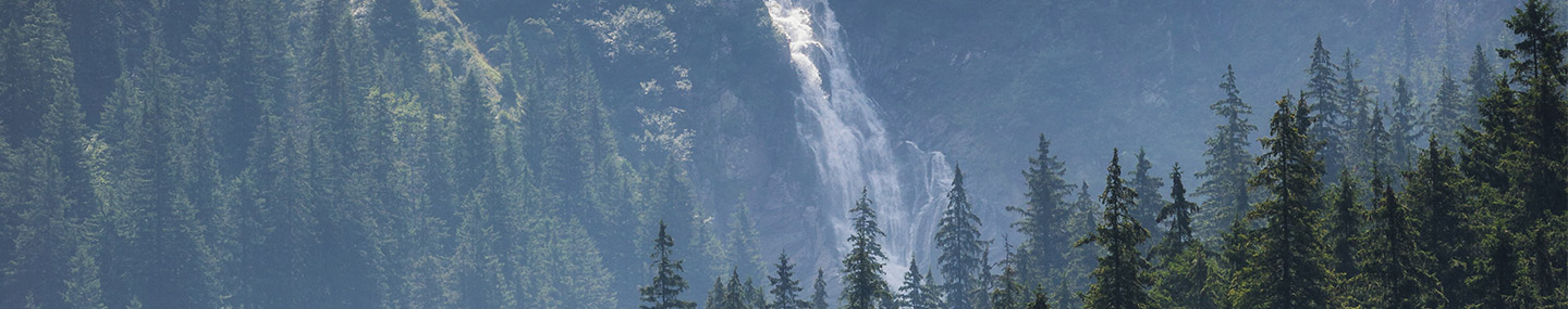 A Solid Foundation | Our Daily Bread