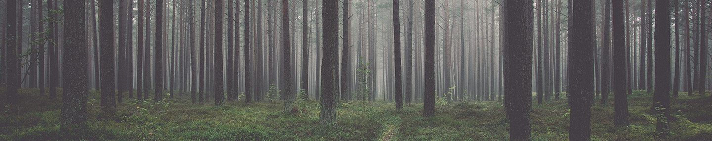 A Safe Place | Our Daily Bread