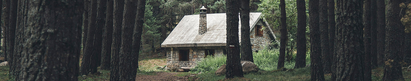 Lonely Christmas | Our Daily Bread