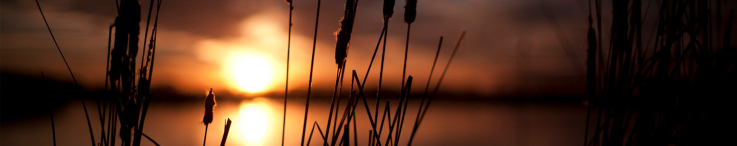 Transformed & Transforming | Our Daily Bread