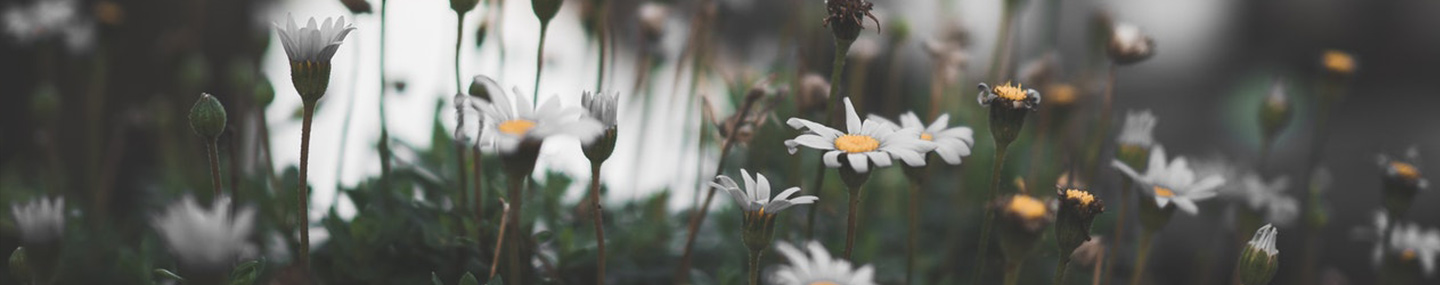 The Greater Glory | Our Daily Bread
