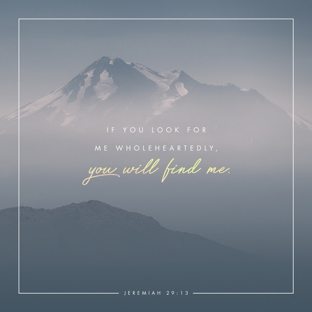 Youversion VotD – December 11, 2018 – Jeremiah 29:13 NLT