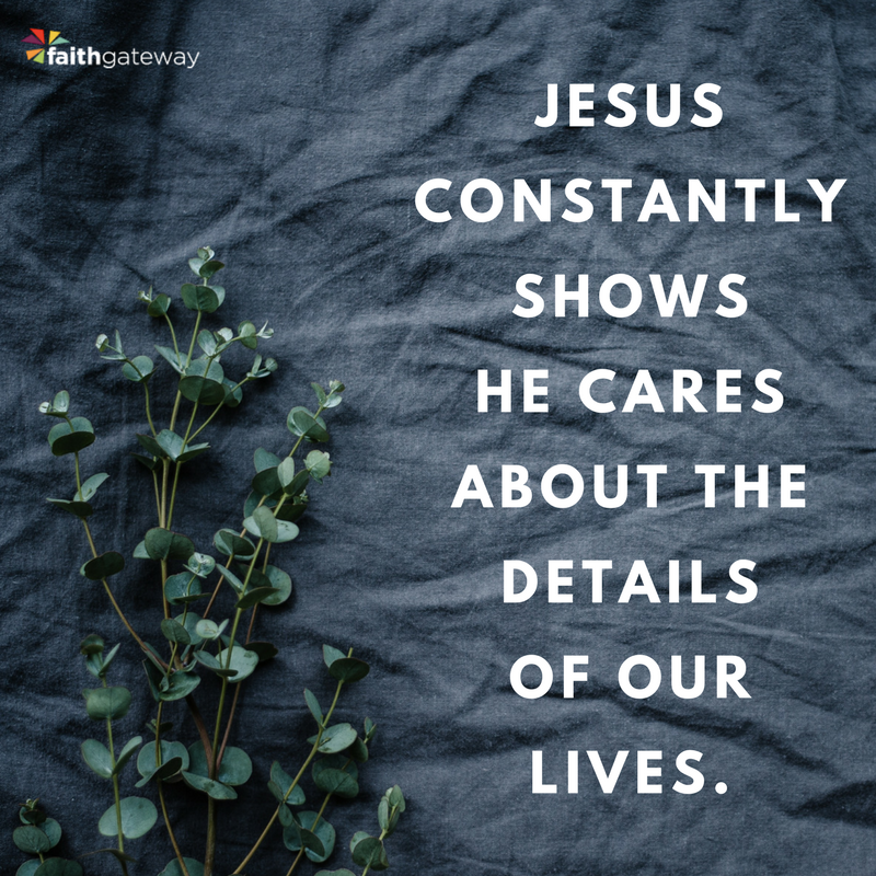 Water Into Wine ~ The Story Devotional – FaithGateway