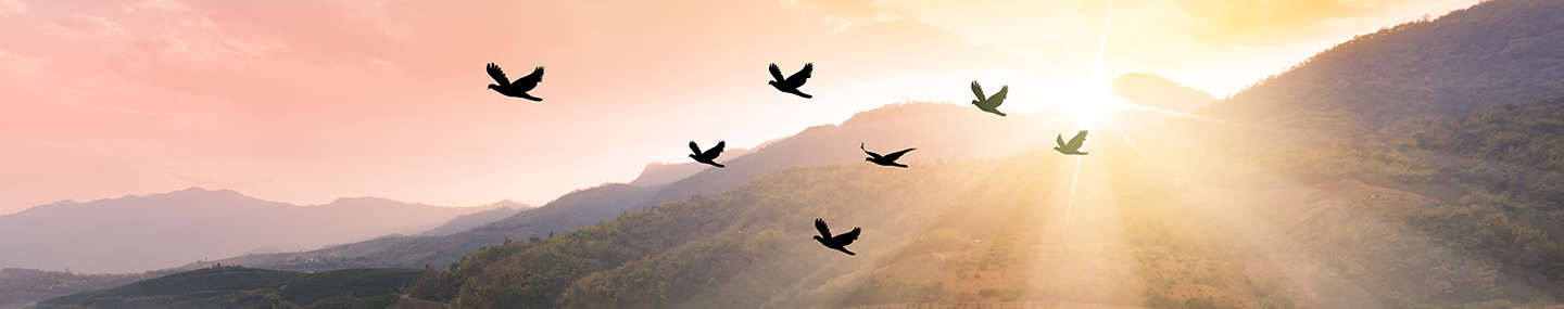 What Kind of Savior Is He? | Our Daily Bread