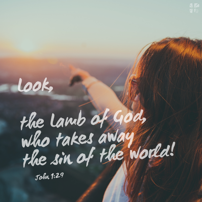 Taste and See: Why the Lamb Is One Year Old – FaithGateway