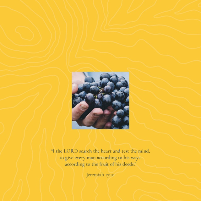 Youversion VotD – February 18, 2019 – Jeremiah 17:10 ESV