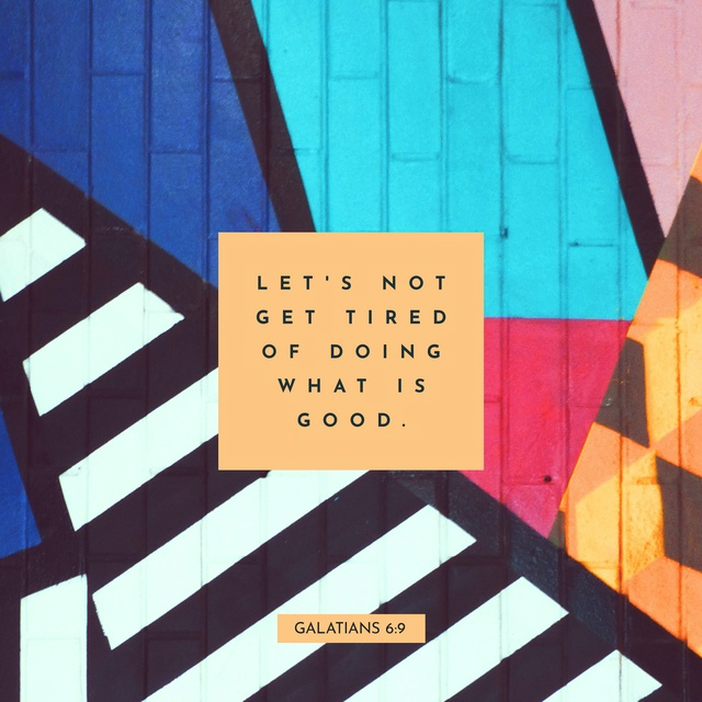 Youversion VotD – February 22, 2019 – Galatians 6:9 NLT