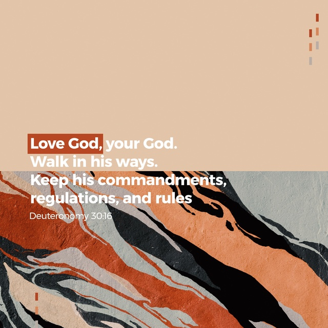 Youversion VotD – March 1, 2019 – Deuteronomy 30:16 MSG
