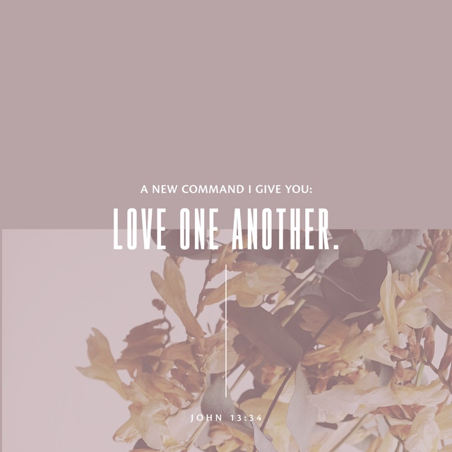 Youversion VotD – April 17, 2019 – John 13:34 NIV