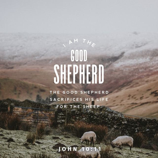 Youversion VotD – April 26, 2019 – John 10:11 NLT