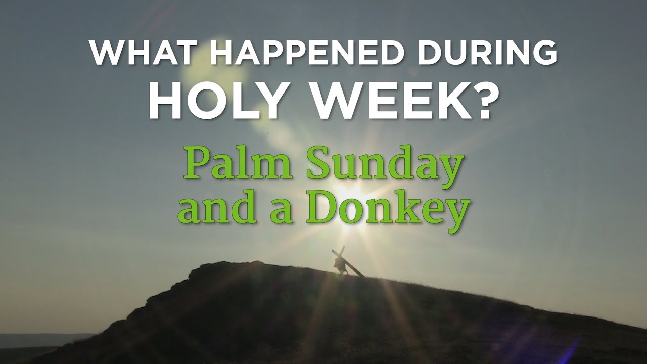 What Happened During Holy Week? Palm Sunday and a Donkey – YouTube