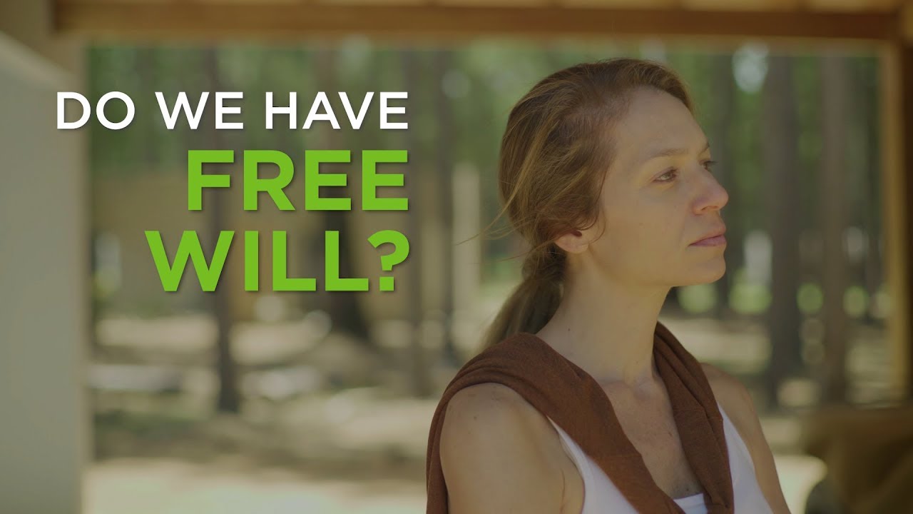 Do We Have Free Will? – YouTube