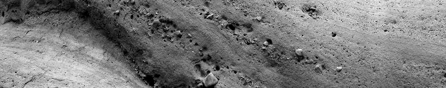 A Longing in Stone