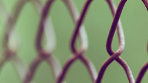 Faithful in Captivity
