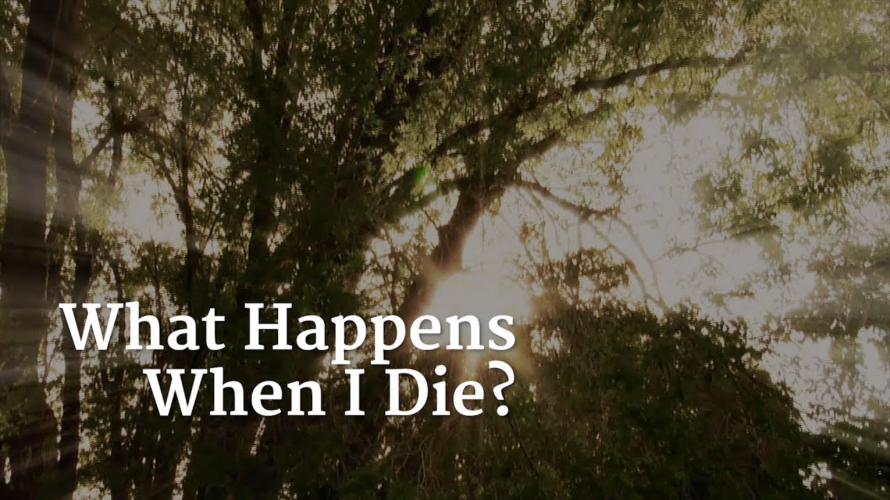 What Happens When I Die? Compilation – YouTube