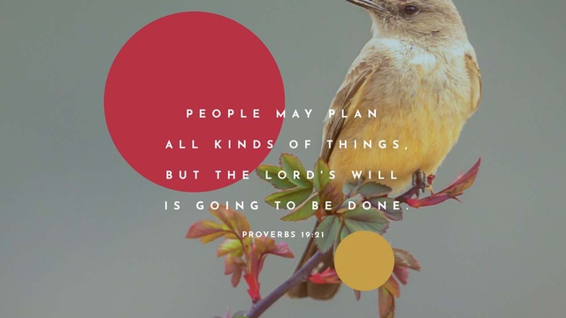 Youversion VotD – August 3, 2019 – Proverbs 19:21 GNT