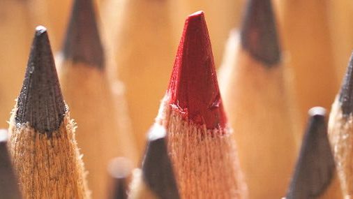 Celebrating God’s Creativity