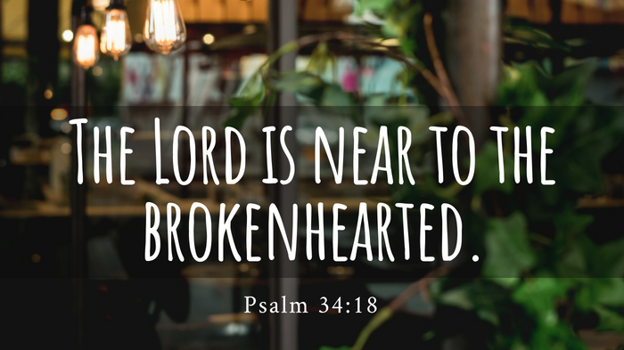 Pain is a Microphone – Through the Eyes of a Lion – FaithGateway