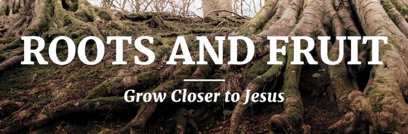 Time of Grace – Roots and Fruit: Grow Closer to Jesus