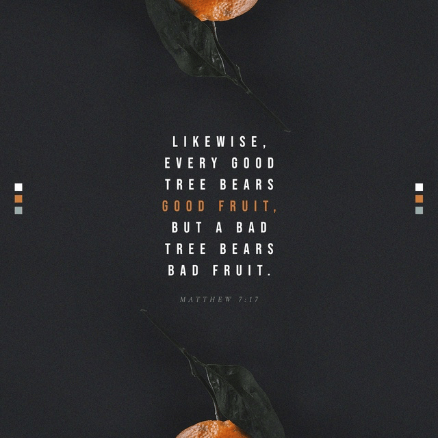 Youversion VotD – September 24, 2019 – Matthew 7:17-20 NIV
