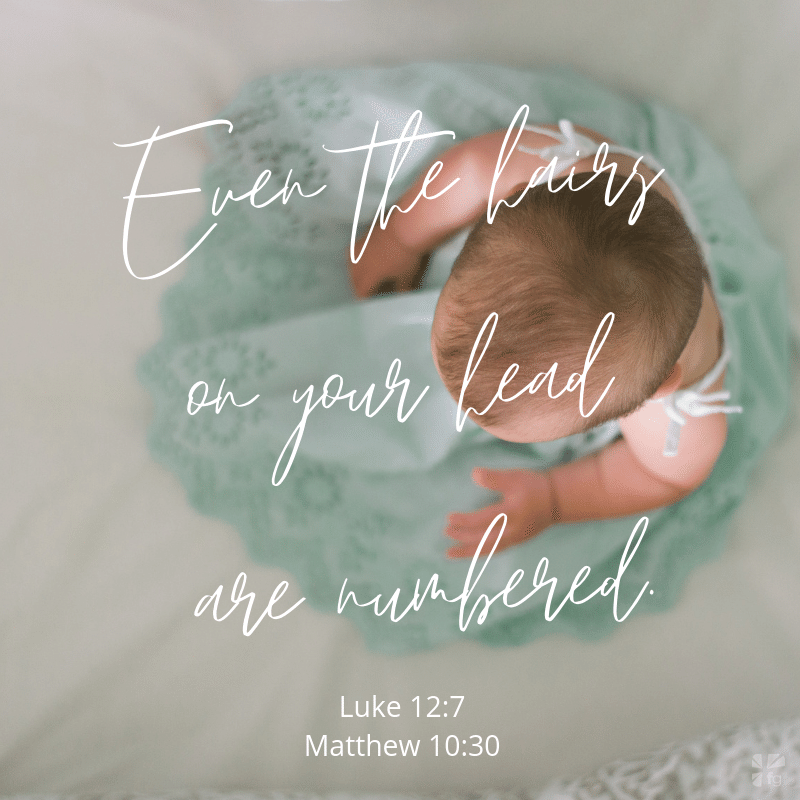 Indescribable: The Scoop on Skin and A Hairy Situation – FaithGateway