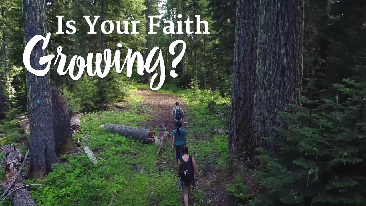 Is Your Faith Growing? – YouTube