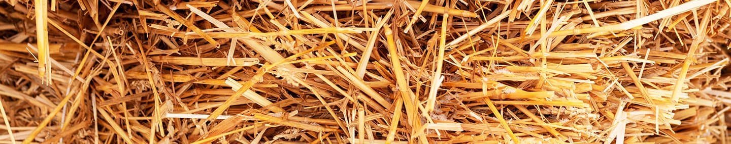 Haystack Prayers | Our Daily Bread