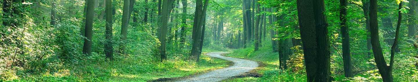 A Road Not Traveled | Our Daily Bread