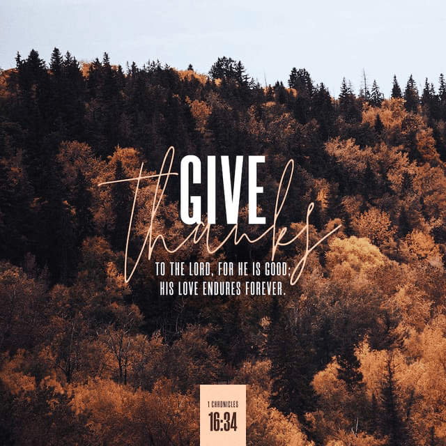 Youversion VotD – November 28, 2019 – 1 Chronicles 16:34 NIV