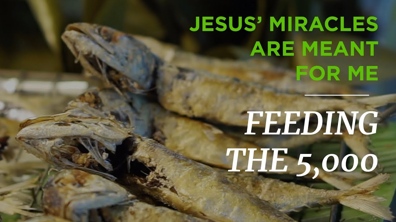 Jesus’ Miracles Are Meant for Me: Feeding the 5,000 – Time of Grace