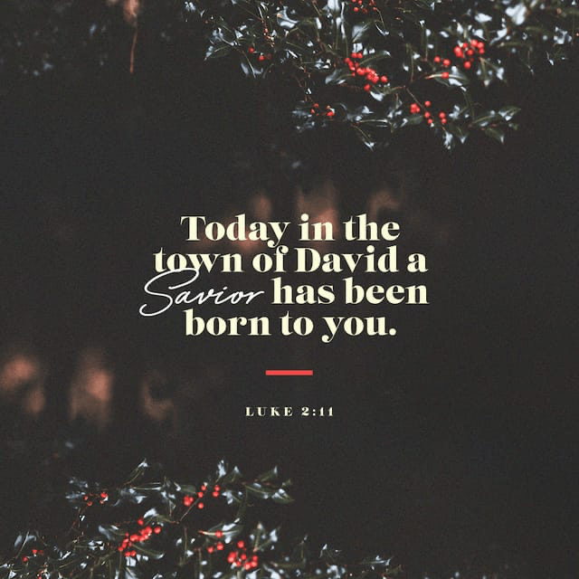 Youversion VotD – December 25, 2019 – Luke 2:11 NIV