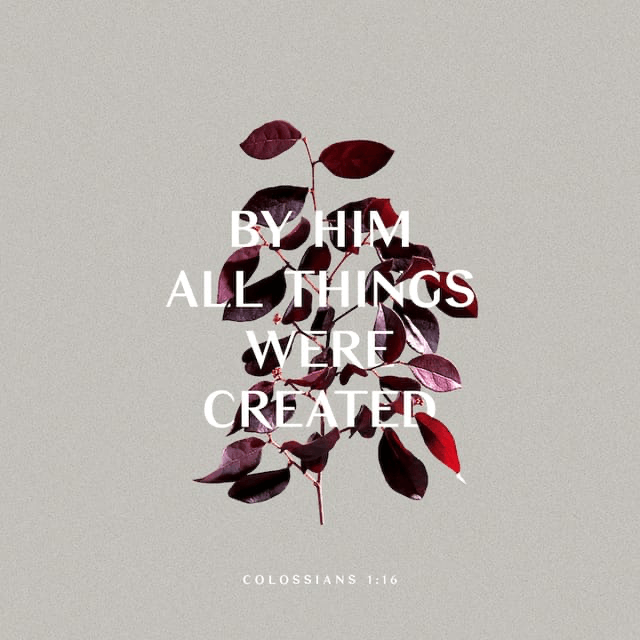 Youversion VotD – December 27, 2019 – Colossians 1:16 NIV