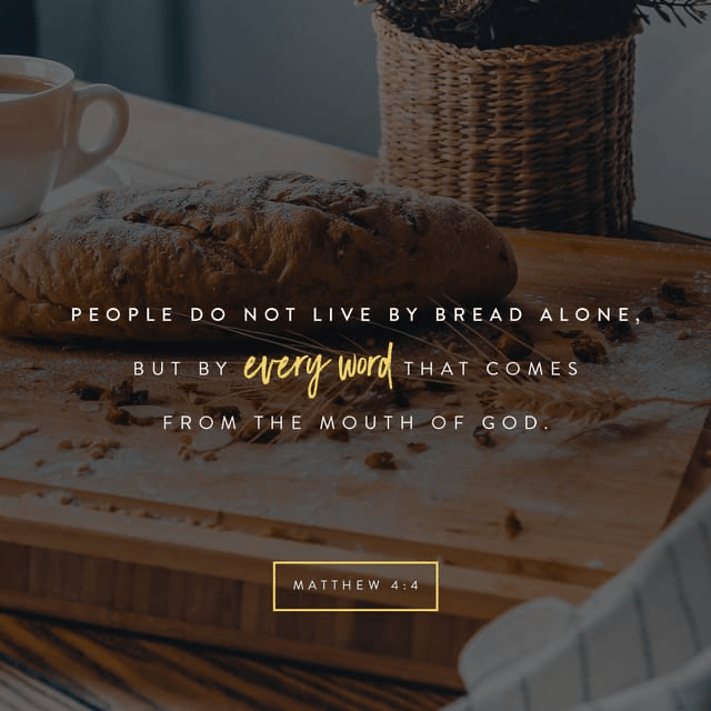 Youversion VotD – December 28, 2019 – Matthew 4:4 NLT